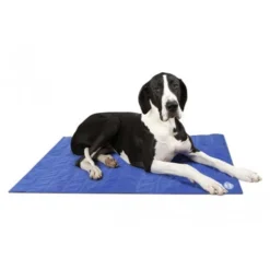 Scruffs Cooling Mat 20 Scruffs Cooling Mat -Katten Benodigdheden 043f7d3c8877045b1ba4263deea4843ce999dec4e4d2fcaabbc5cb4b9e13912c 3