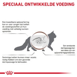 Royal Canin Fibre Response Kat -Katten Benodigdheden 0tMp9E3fvJRC05dRih0UwBDsli36jA metaR0FTVFJPSU5URVNUSU5BTC1GSUJSRS1SRVNQT05TRS0zLmpwZw