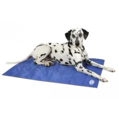 Scruffs Cooling Mat 31 Scruffs Cooling Mat -Katten Benodigdheden 2b36bdadeb409c4f4780489299c18d2c07e4914e5f147652d54f8fd4fa8ac4dd 4