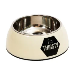 51 Degrees North Enkele Voerbak -Katten Benodigdheden 51 degrees north enkele voerbak gebroken wit l 86035 0500 none