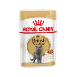 Royal Canin British Shorthair Adult Wet - Kattenvoer
