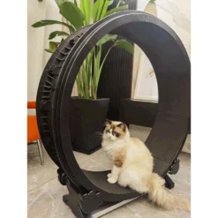 Petlux Looprad Voor Katten -Katten Benodigdheden A9lNzzQjPd5SUPkSUwLk7nsZqDFeXm metaUGV0bHV4LUxvb3ByYWQtbWV0LnBuZw