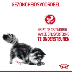 Royal Canin Digestive Care In Gravy - Kattenvoer 18 Royal Canin Digestive Care In Gravy - Kattenvoer -Katten Benodigdheden ArELC5MRoxiyJSCYOslvuIRNg5AVhp metaUm95YWwtQ2FuaW4tRGlnZXN0aXZlLUNhcmVfMDEuanBn