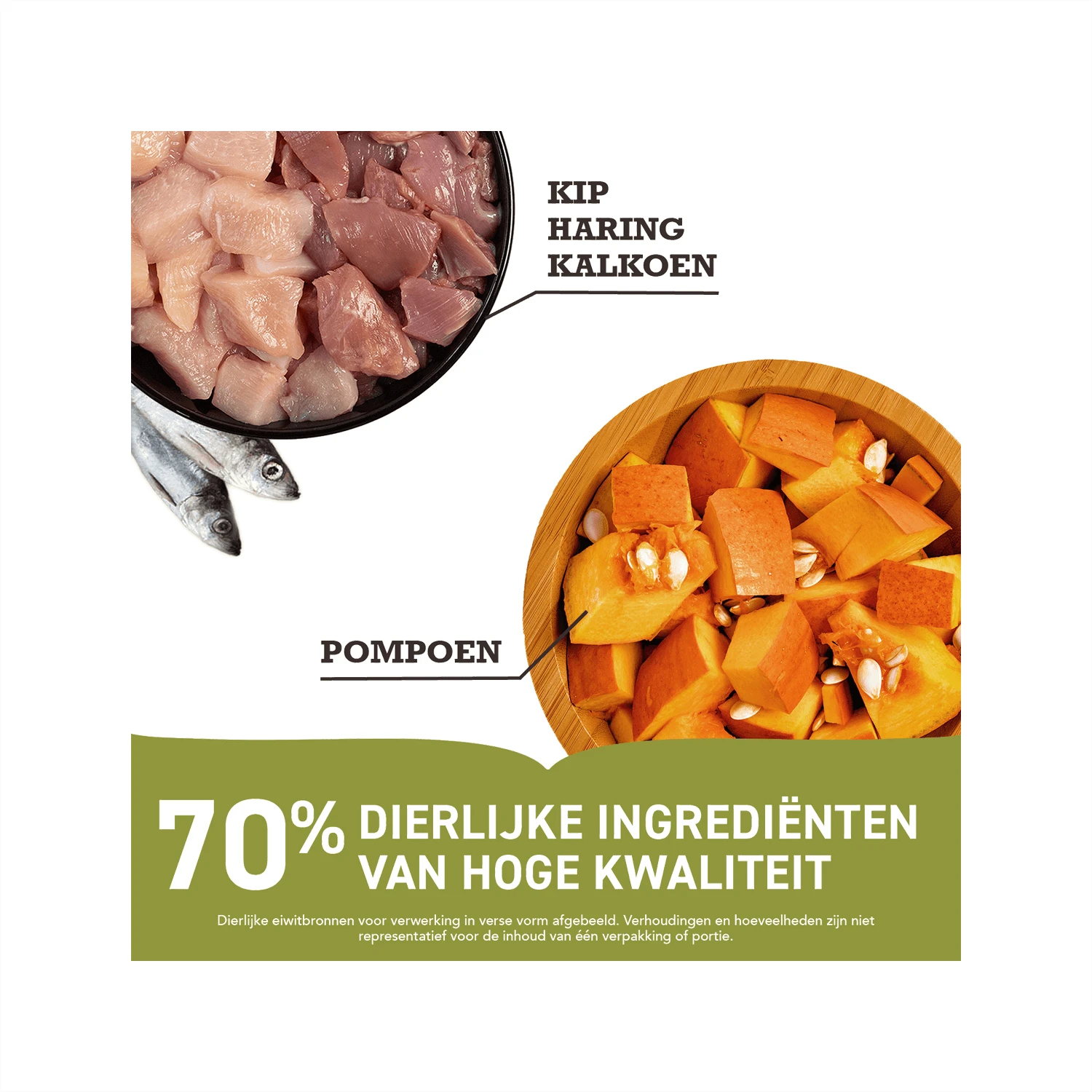 Acana First Feast - Kittenvoer 4 Acana First Feast - Kittenvoer - Afbeelding 4