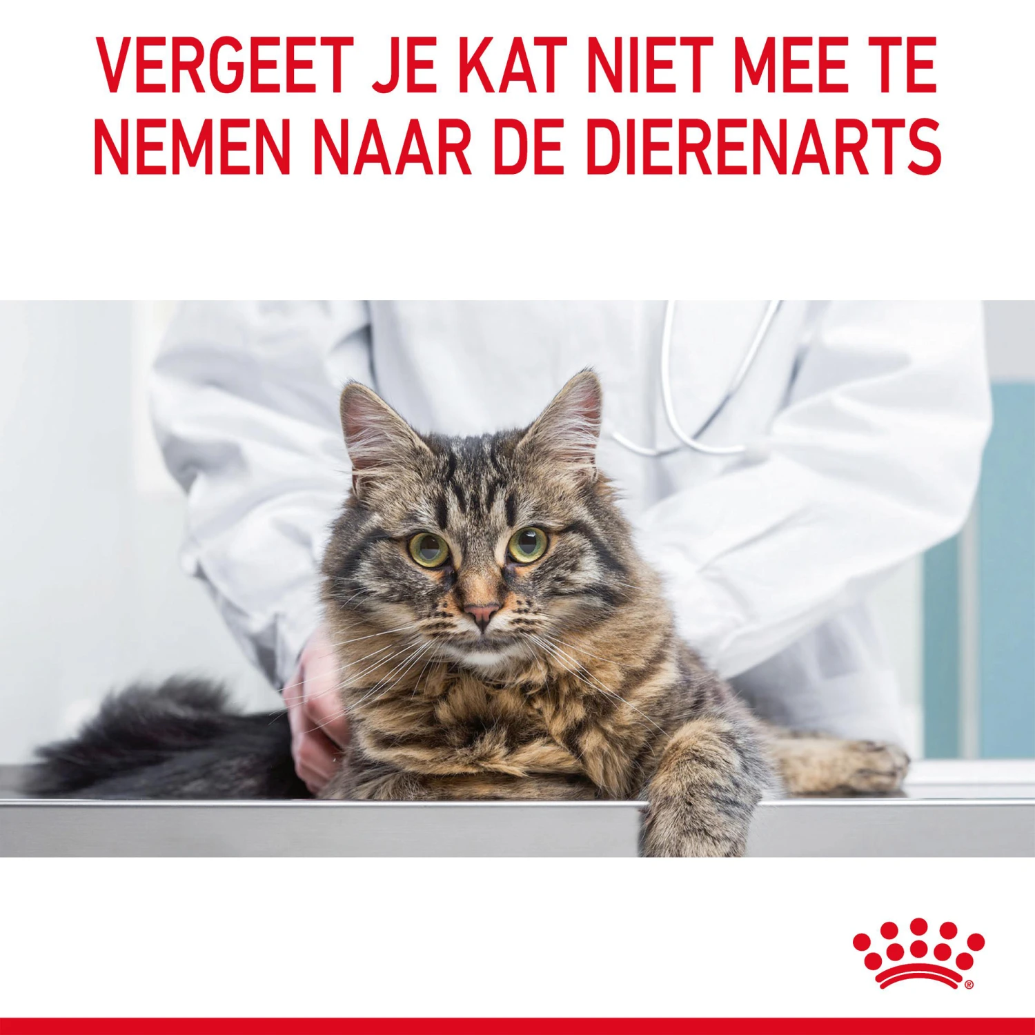 Royal Canin Hairball Care In Gravy - Kattenvoer 12 Royal Canin Hairball Care In Gravy - Kattenvoer - Afbeelding 12