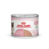 Royal Canin Mother & Babycat Mousse - Kattenvoer