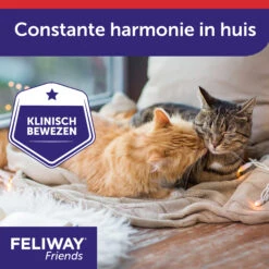 Feliway Friends -Katten Benodigdheden KwTPieQoagk07UQzAz1eKNaVthJurB metaRmVsaXdheS1GcmllbmRzLUNhcm91c2VsLTUuanBn