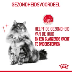 Royal Canin Hair & Skin In Gravy - Kattenvoer 20 Royal Canin Hair & Skin In Gravy - Kattenvoer -Katten Benodigdheden MnRGVtu8Y4Y8CuEu4Mdn5Rb9cOFGPr metaUm95YWwtQ2FuaW4tSGFpci0mLVNraW4taW4tR3JhdnlfMDQuanBn
