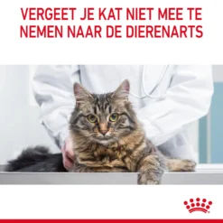 Royal Canin Digestive Care In Gravy - Kattenvoer 22 Royal Canin Digestive Care In Gravy - Kattenvoer -Katten Benodigdheden TCTHbhcxJ1DLcyoBx0gQXZC3c7Q1nW metaUm95YWwtQ2FuaW4tVXJpbmFyeS1DYXJlLWluLUdyYXZ5XzA2LmpwZw
