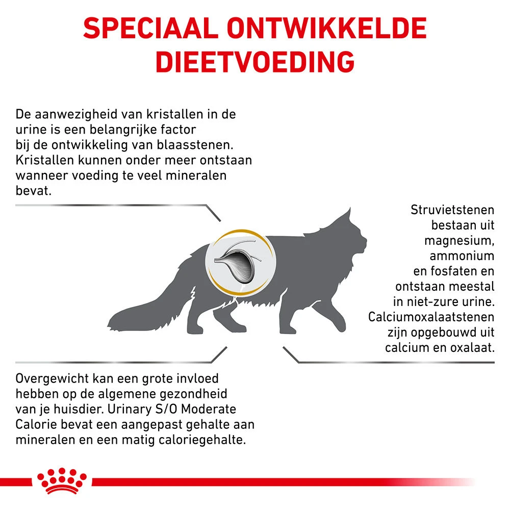 Royal Canin Urinary S/O Moderate Calorie Kat 11 Royal Canin Urinary S/O Moderate Calorie Kat - Afbeelding 11