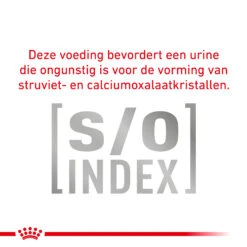 Royal Canin Urinary S/O Kat 21 Royal Canin Urinary S/O Kat -Katten Benodigdheden VpgXQjpSvGNGPyyzUe0SVeDT9IxIXC metaVVJJTkFSWS1TTy1MT0FGLTguanBn