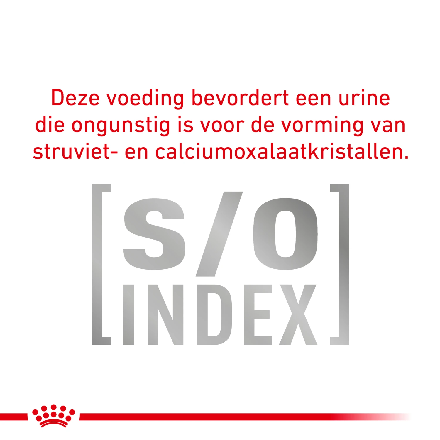 Royal Canin Urinary S/O Kat 11 Royal Canin Urinary S/O Kat - Afbeelding 11