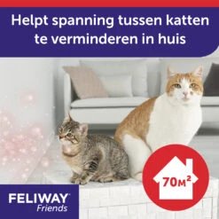 Feliway Friends -Katten Benodigdheden Yqs0jjKoF52gInjrukY1x5eGB4ktFD metaRmVsaXdheS1GcmllbmRzLUNhcm91c2VsLS0yLmpwZw