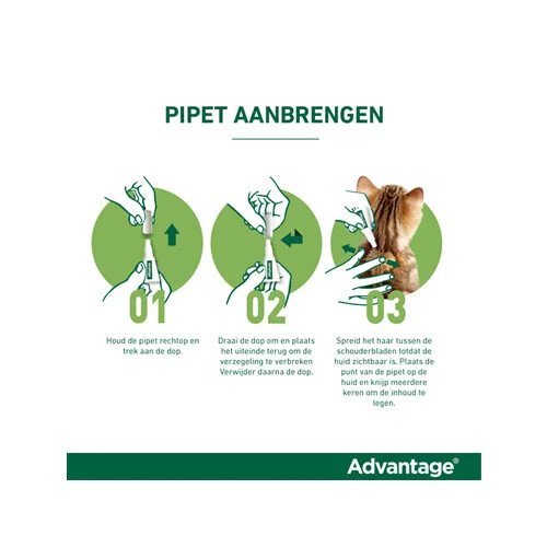 Advantage Kat - Afbeelding 13