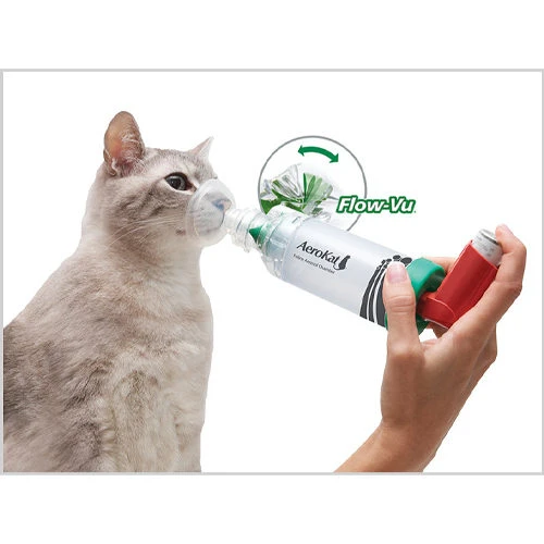 AeroKat Inhalatiesysteem 3 AeroKat Inhalatiesysteem - Afbeelding 3