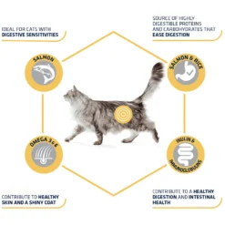 Affinity Advance Adult Salmon Sensitive - Kat -Katten Benodigdheden affinity advance adult salmon sensitive kat 178666 1500 none