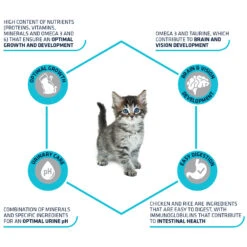 Affinity Advance Kitten Kip En Rijst -Katten Benodigdheden affinity advance kitten kip en rijst kat 178231 1500 none