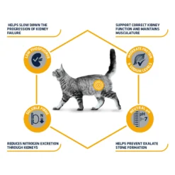 Affinity Advance Veterinary Diets Renal Kat 11 Affinity Advance Veterinary Diets Renal Kat -Katten Benodigdheden affinity advance veterinary diets renal kat 176884 1500 none