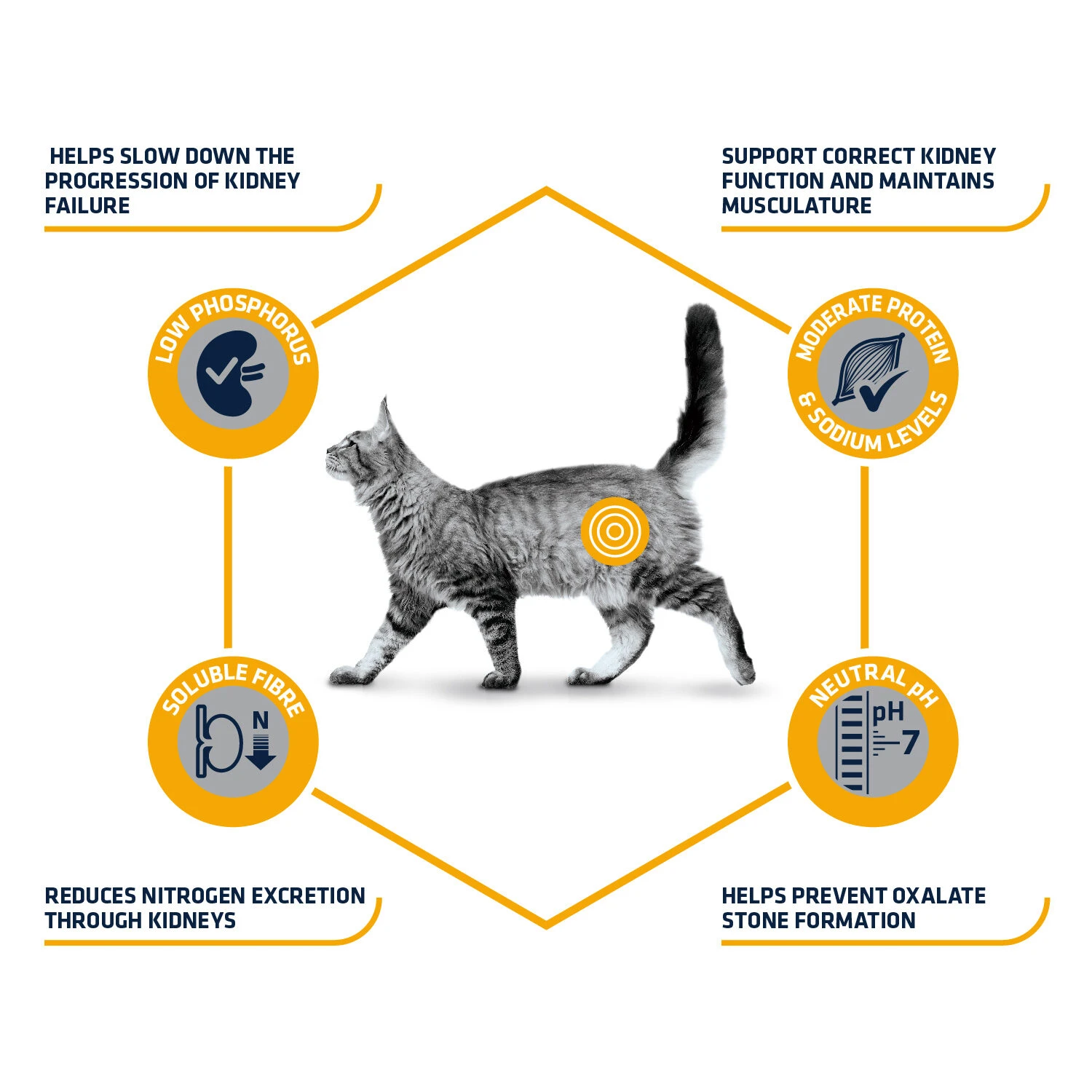 Affinity Advance Veterinary Diets Renal Kat 4 Affinity Advance Veterinary Diets Renal Kat - Afbeelding 4