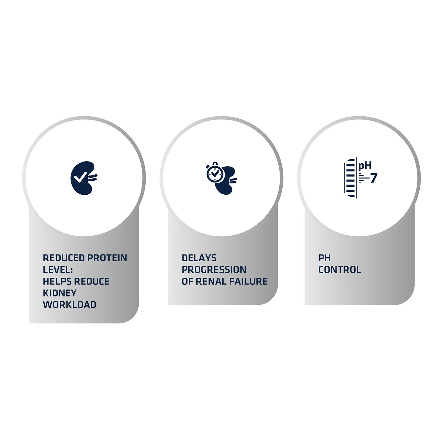 Affinity Advance Veterinary Diets Renal Kat 5 Affinity Advance Veterinary Diets Renal Kat - Afbeelding 5