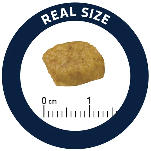 Affinity Advance Veterinary Diets Renal Kat 6 Affinity Advance Veterinary Diets Renal Kat - Afbeelding 6