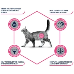 Affinity Advance Veterinary Diets Urinary Kat 13 Affinity Advance Veterinary Diets Urinary Kat -Katten Benodigdheden affinity advance veterinary diets urinary kat 176905 1500 none