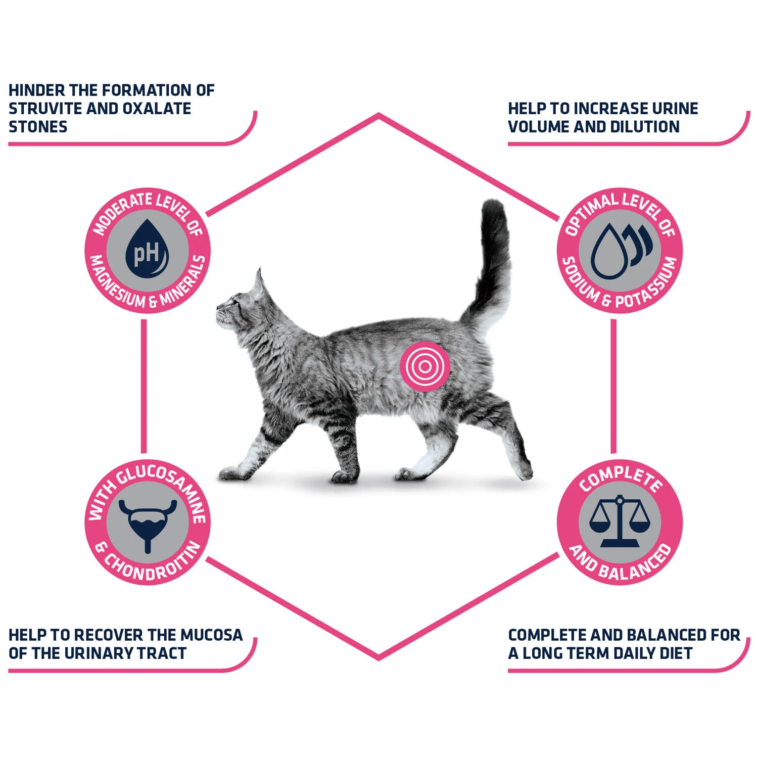 Affinity Advance Veterinary Diets Urinary Kat 5 Affinity Advance Veterinary Diets Urinary Kat - Afbeelding 5