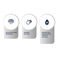 Affinity Advance Veterinary Diets Urinary Kat 14 Affinity Advance Veterinary Diets Urinary Kat -Katten Benodigdheden affinity advance veterinary diets urinary kat 176908 1500 none