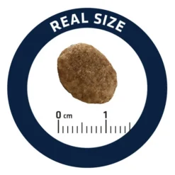 Affinity Advance Veterinary Diets Urinary Kat 15 Affinity Advance Veterinary Diets Urinary Kat -Katten Benodigdheden affinity advance veterinary diets urinary kat 176911 0500 none