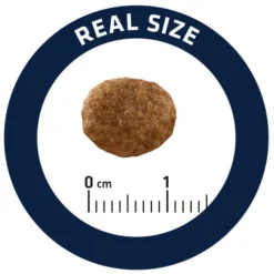 Affinity Advance Veterinary Diets Urinary Stress Kat -Katten Benodigdheden affinity advance veterinary diets urinary stress kat 176821 0500 none