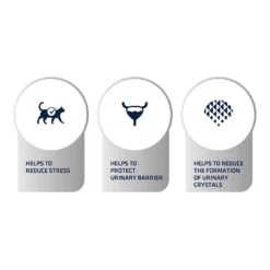 Affinity Advance Veterinary Diets Urinary Stress Kat -Katten Benodigdheden affinity advance veterinary diets urinary stress kat 176839 1500 none