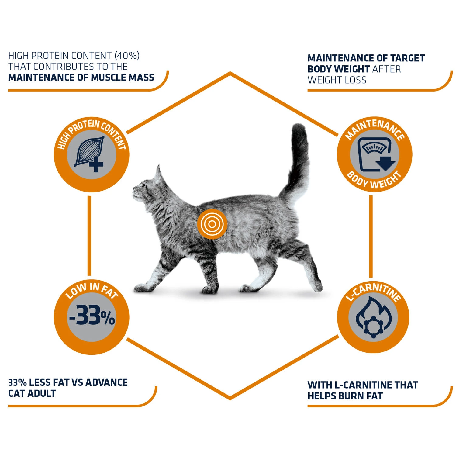 Affinity Advance Veterinary Diets Weight Balance Kat 4 Affinity Advance Veterinary Diets Weight Balance Kat - Afbeelding 4