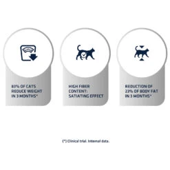 Affinity Advance Veterinary Diets Weight Balance Kat 14 Affinity Advance Veterinary Diets Weight Balance Kat -Katten Benodigdheden affinity advance veterinary diets weight balance kat 178096 1500 none