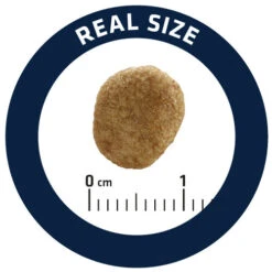 Affinity Advance Veterinary Diets Weight Balance Kat 15 Affinity Advance Veterinary Diets Weight Balance Kat -Katten Benodigdheden affinity advance veterinary diets weight balance kat 178099 0500 none