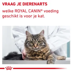 Royal Canin VCN - Mature Consult Balance - Cat - Maaltijdzakje 9 Royal Canin VCN - Mature Consult Balance - Cat - Maaltijdzakje -Katten Benodigdheden auqYuMrpG2AEQj9IgtKtDMGtV3YXT4 metaTUFUVVJFLUNPTlNVTFQtQkFMQU5DRS04LmpwZw