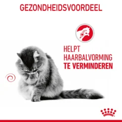 Royal Canin Hairball Care In Gravy - Kattenvoer 20 Royal Canin Hairball Care In Gravy - Kattenvoer -Katten Benodigdheden b5BGZndEVRARBU6xTTXdGdZB9ZfBvZ metaUm95YWwtQ2FuaW4tSGFpcmJhbGwtQ2FyZS1pbi1HcmF2eV8wMi5qcGc