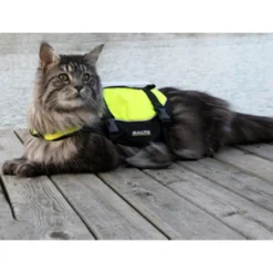 Baltic Kattenzwemvest Maja 11 Baltic Kattenzwemvest Maja -Katten Benodigdheden baltic kattenzwemvest maja 178984 0500 none
