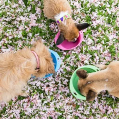 Beco Travel Bowl 21 Beco Travel Bowl -Katten Benodigdheden beco travel bowl 136390 2000 none