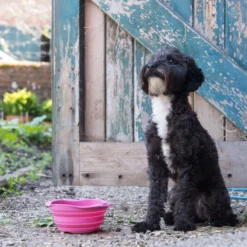 Beco Travel Bowl 22 Beco Travel Bowl -Katten Benodigdheden beco travel bowl 136393 2000 none