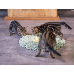 Beeztees Kitten Snuffelmat Flowie -Katten Benodigdheden beeztees kitten snuffelmat flowie 216526 2000 none