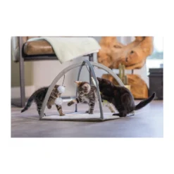 Beeztees Kitten Speelkleed Xabia -Katten Benodigdheden beeztees kitten speelkleed xabia 216531 2000 none