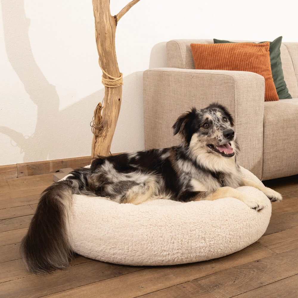 Beeztees Memory Foam Jaxx - Hondenmand - Pluche 10 Beeztees Memory Foam Jaxx - Hondenmand - Pluche - Afbeelding 10