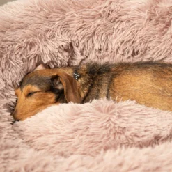 Beeztees Yali Pluche Donutmand -Katten Benodigdheden beeztees yali pluche donutmand 216351 1000 none