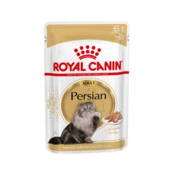 Royal Canin Persian Adult Wet - Kattenvoer 17 Royal Canin Persian Adult Wet - Kattenvoer -Katten Benodigdheden cb729db498c3f30eb1a2df51e314f88635f8d12d7ade4b2f7bd50acfdd0bd01e 3 5