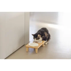 Designed By Lotte Dinnerset Djeha -Katten Benodigdheden designed by lotte dinnerset djeha 222734 2000 none