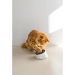 Designed By Lotte Kattenvoerbak Vita 19 Designed By Lotte Kattenvoerbak Vita -Katten Benodigdheden designed by lotte kattenvoerbak vita 221521 1500 none