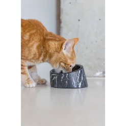 Designed By Lotte Kattenvoerbak Vita 18 Designed By Lotte Kattenvoerbak Vita -Katten Benodigdheden designed by lotte kattenvoerbak vita 221522 1500 none