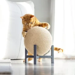 Designed By Lotte Krabbol Tyra 9 Designed By Lotte Krabbol Tyra -Katten Benodigdheden designed by lotte krabbol tyra 222831 0500 none