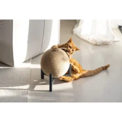 Designed By Lotte Krabbol Tyra 11 Designed By Lotte Krabbol Tyra -Katten Benodigdheden designed by lotte krabbol tyra 222832 0500 none