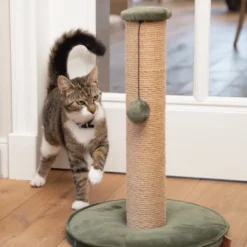 Designed By Lotte Krabpaal Yenna -Katten Benodigdheden designed by lotte krabpaal yenna 164437 2000 none